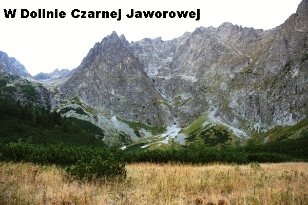 Dolina Czarna Jaworowa